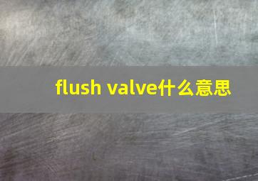 flush valve什么意思